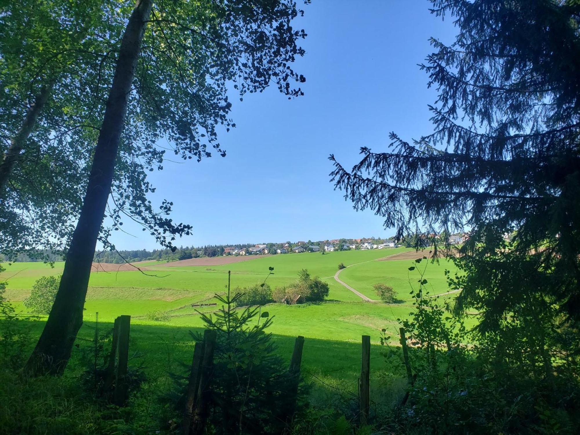 Alter Hirsch Hotel Pfalzgrafenweiler Luaran gambar