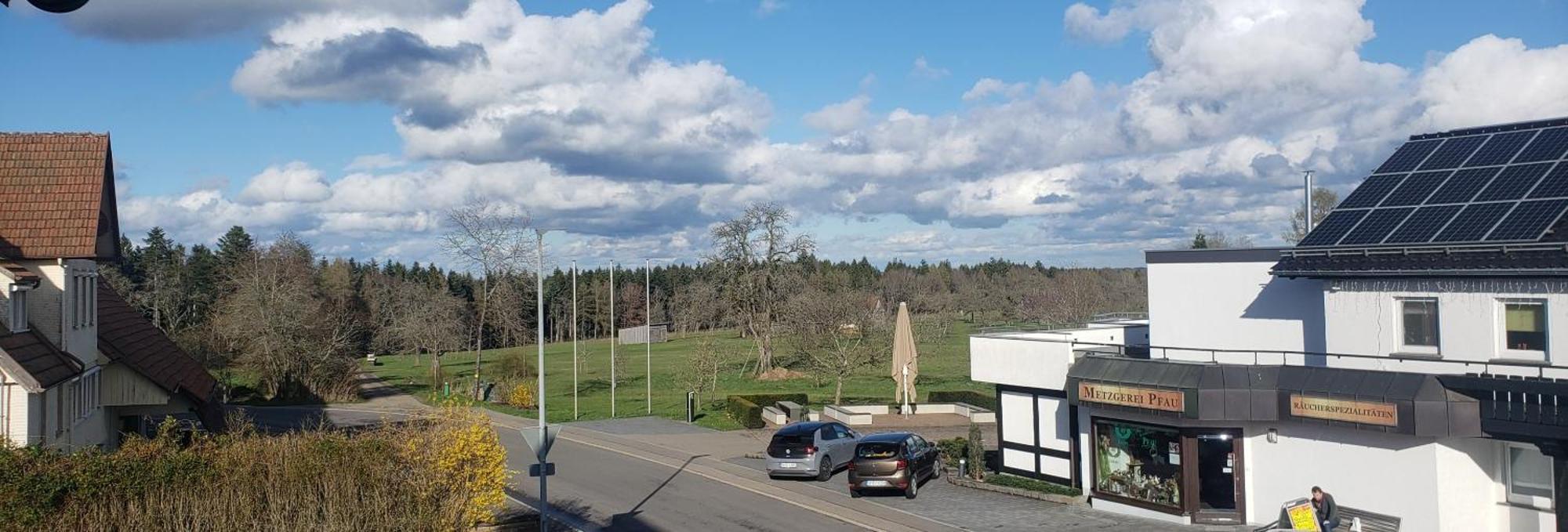 Alter Hirsch Hotel Pfalzgrafenweiler Bilik gambar