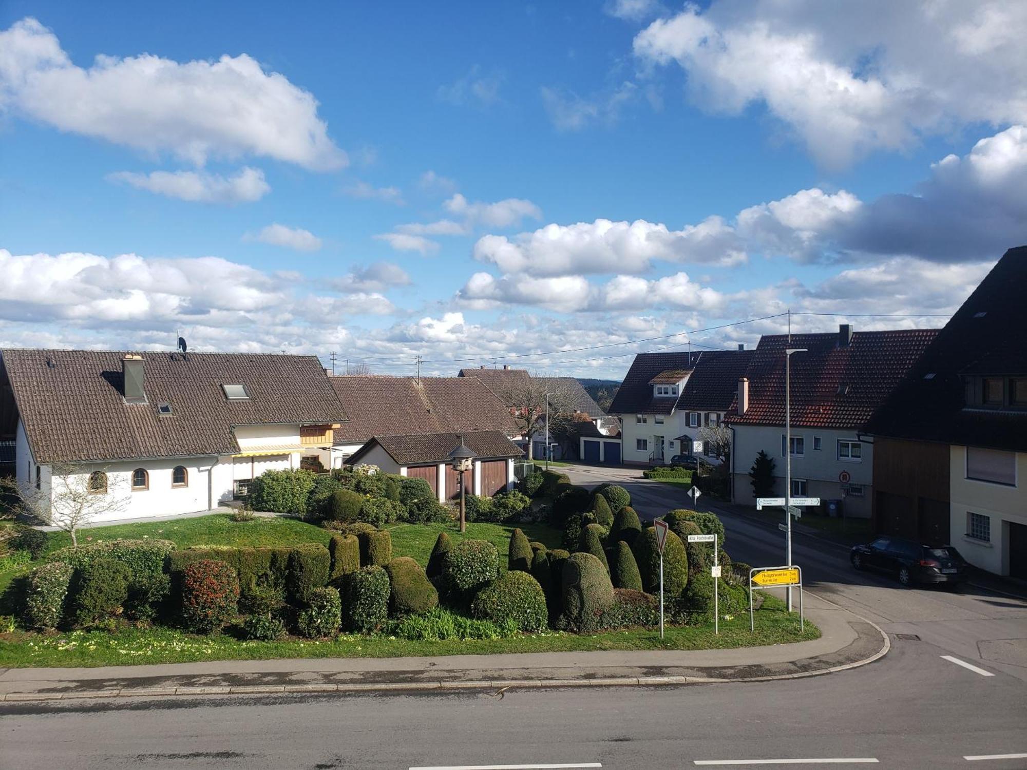 Alter Hirsch Hotel Pfalzgrafenweiler Bilik gambar