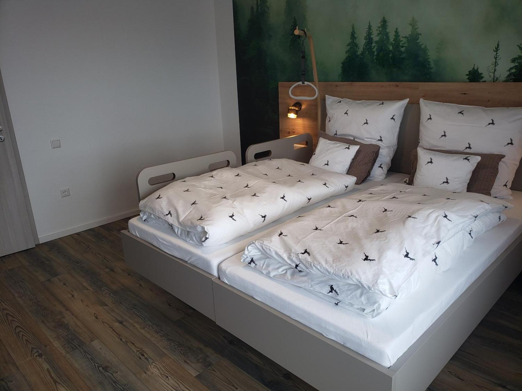 Alter Hirsch Hotel Pfalzgrafenweiler Bilik gambar